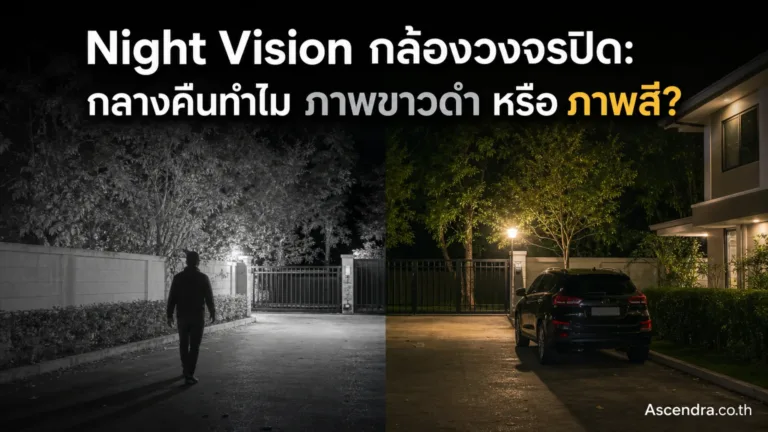 Night Vision ของกล้องวงจรปิดคืออะไร ทำไมภาพกลางคืนบางรุ่นเป็นขาวดำแต่บางรุ่นเห็นสี